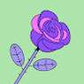 Selvam