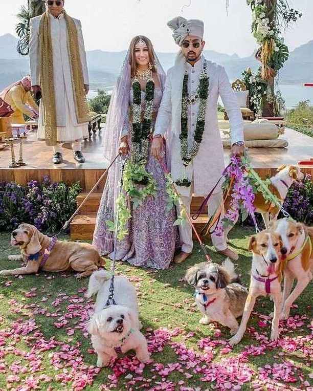 Pawfect Wedding Picture! - 1