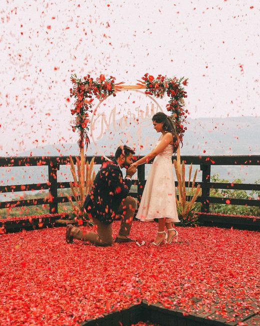 This Rosy Proposal Looks So Beautiful!! 🤩 - 1