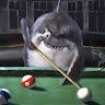 Sharko