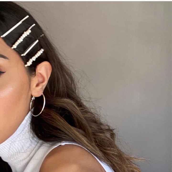 Please help me in fixing some alluring hair clips! - 1