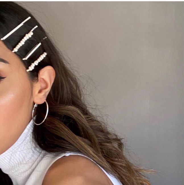 Please help me in fixing some alluring hair clips! 2