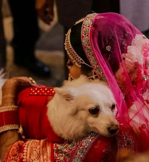 Cute couple photos with their pooch 9