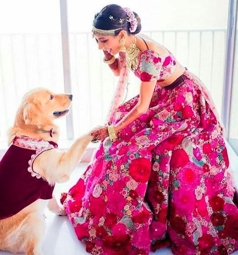 Cute couple photos with their pooch 5