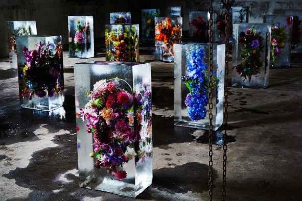 Ice Sculpture 