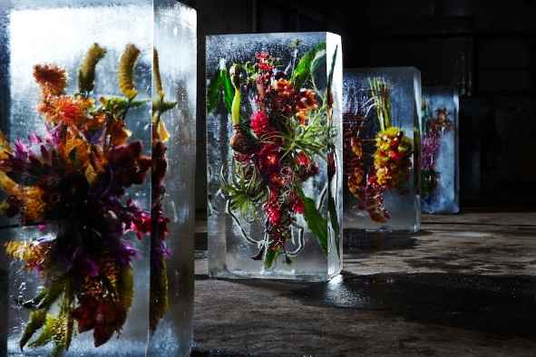 Ice Sculpture 