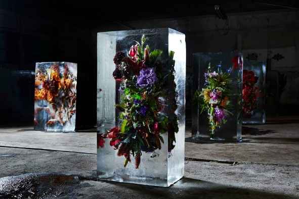 Ice Sculpture 