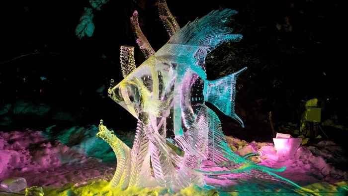 Ice Sculpture 