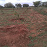 Sharathkumar