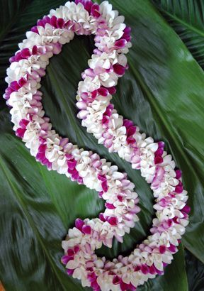 Fresh Orchid garland to welcome guests! - 1