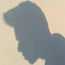 Lokesh