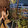 Anshika