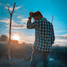 Mohit