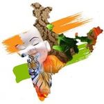 Vikas