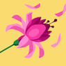 Vidhi