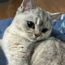 Nina