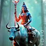 Shiva