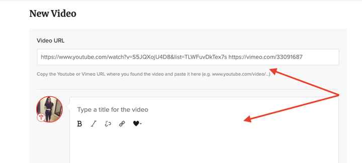 3. Paste the Url You Copied From Youtube 