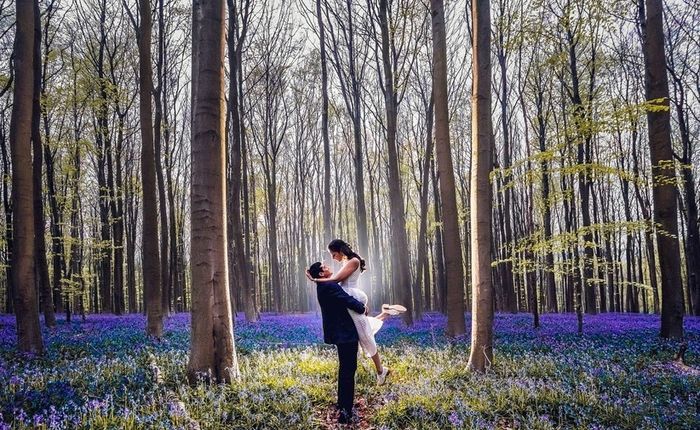 Image Courtesy: Stories by Joseph Radhik