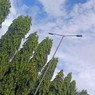 Dugyala