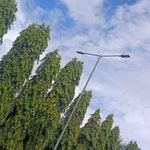 Dugyala