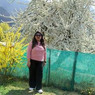 Mohit