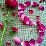 Konjeti