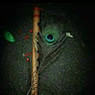Puja