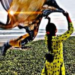 Shalini