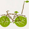 Prabhakar