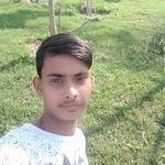 Saruk