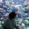 Gowri