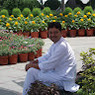 Shashi