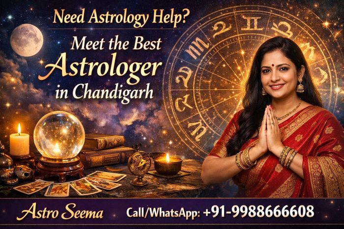 Best Astrologer In Chandigarh