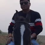 Shakti