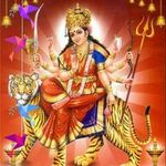 Vijay