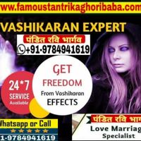 Famous Astrologer in Canada +91-9784941619 - 1