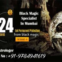 Astrologer In Canada | Montreal qc +91-9784941619 - 1