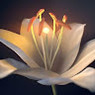 Praveen