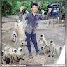 Suresh