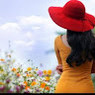 Sherin