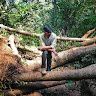 Murali