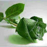 RITU