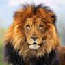 Sandip