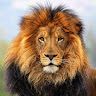 Sandip