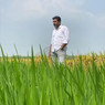 பொறியாளர்