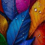 Rashmi