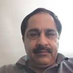 Anil