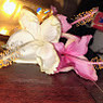 Shreya