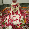 Rohit
